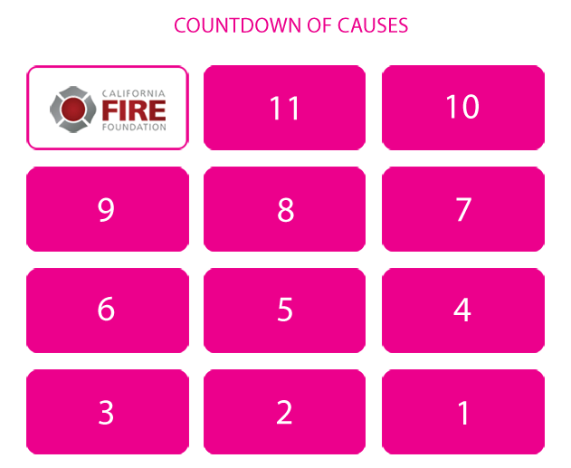 Countdown to Causes